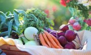 vegetables-2485055_1920-min.jpg